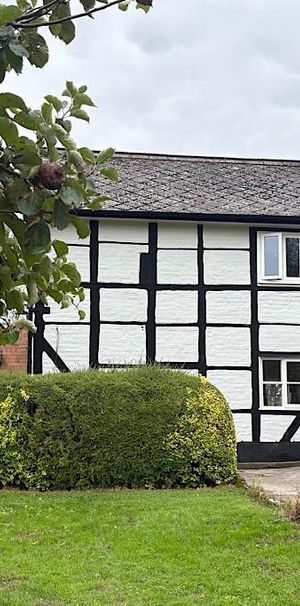 2 bedroom semi-detached house to rent - Photo 1