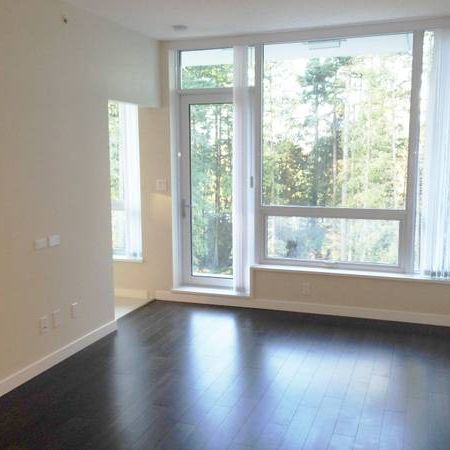 1 Bed + Large Den at UBC Wesbrook Village with AC! - Photo 3