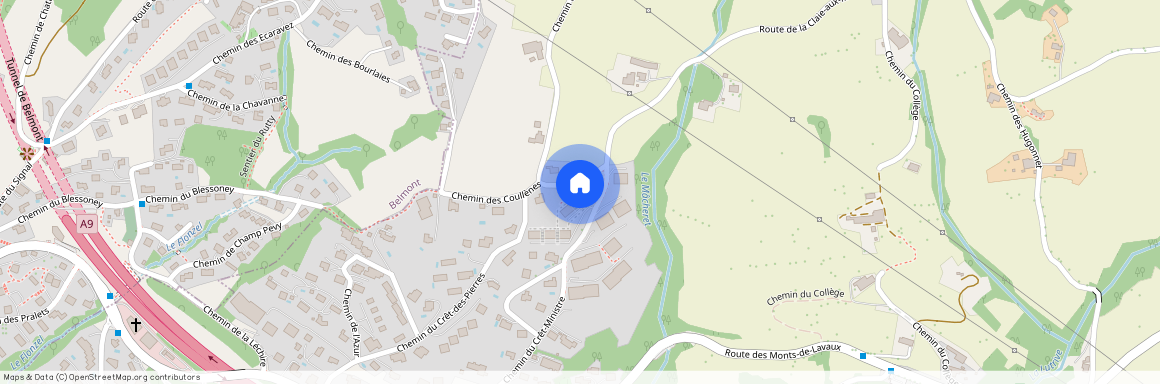 Chemin du Crêt-Ministre 98, 1090 Lutry