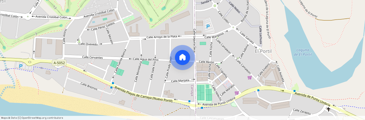 Calle Aguas del Pino 63