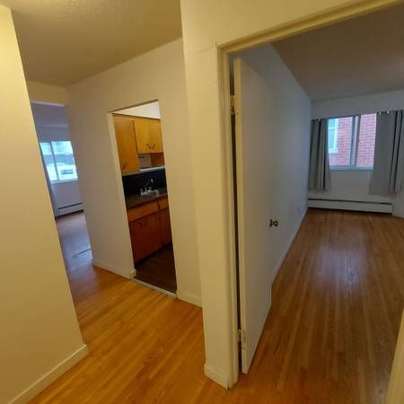 pet friendly one bedroom - Photo 4