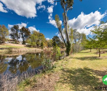 16/30 Trinculo Place, Queanbeyan East NSW 2620 - Apartment For Rent... - Photo 2