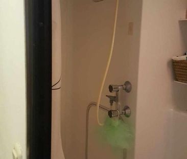 Appartement zu vermieten - Photo 1