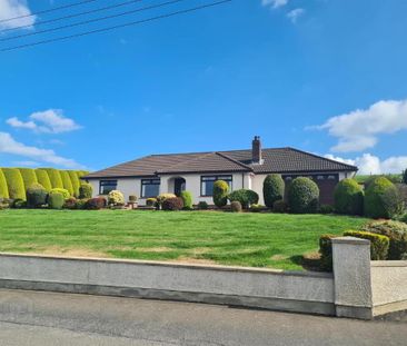 182 Mealough Road, Carryduff, Belfast, BT8 8LY - Photo 3