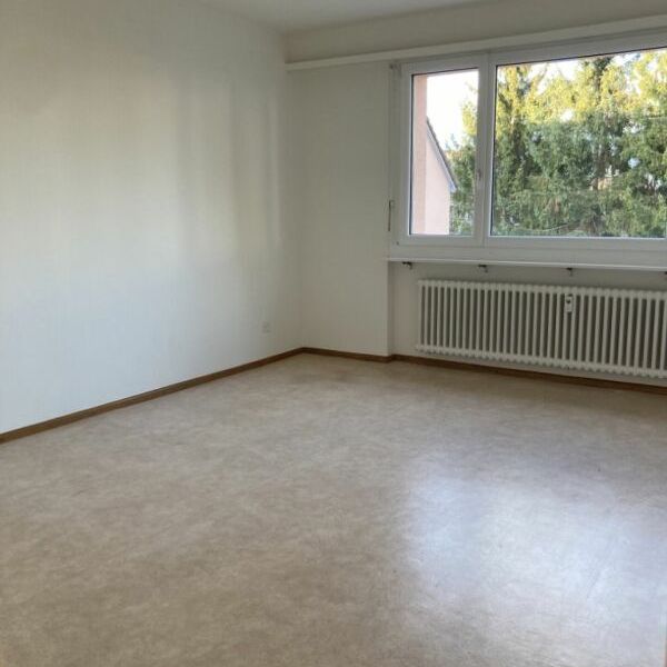 Frenkendorf / 3-room apartment on the ground floor - Photo 1