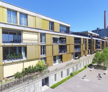 Ihr neues Zuhause in Winterthur - schöne 4.5-Zimmerwohnung im EG - Foto 6