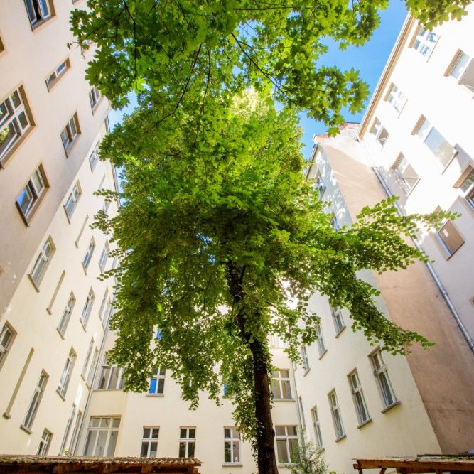 F-Hain: vollmöblierte 1 Zi Whg auf 48 m² mit eigenem Garten - Ab sofort! - Foto 1