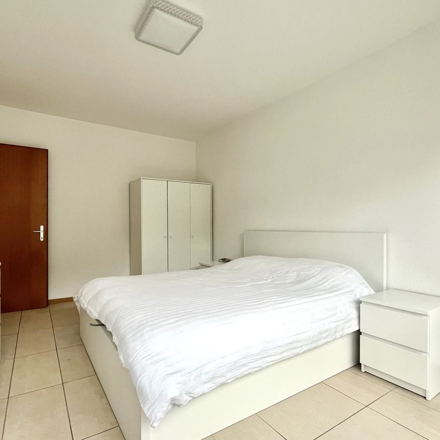 6962, Viganello - Photo 1