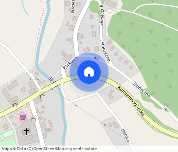 Do wynajęcia jasne mieszkanie – 27,6 m², Czarny Bór - Photo 1