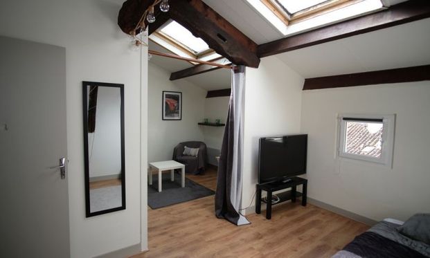 Location Appartement 1 pièce LIMOGES (87000) - Photo 1