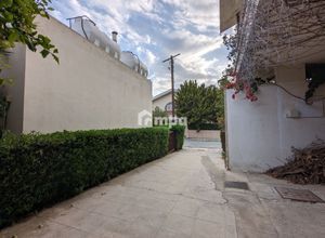 Βίλα για ενοικίαση - Λατσιά - Φωτογραφία 3