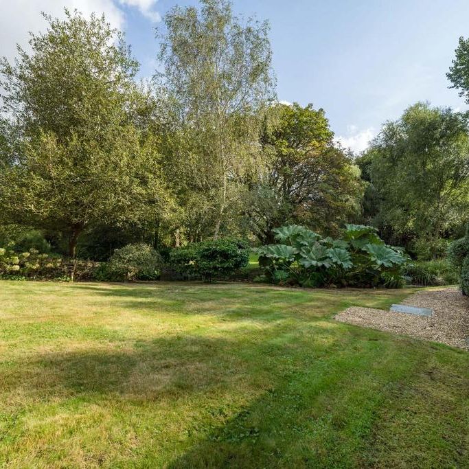 2 bedroom detached bungalow to rent - Photo 1