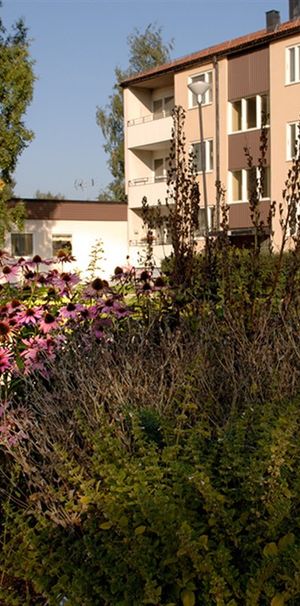 Karlitplan 8 B - Photo 1