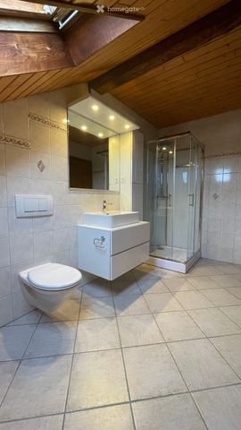 Grand appartement de 7 pièces à louer à Alle (JU) - Foto 3