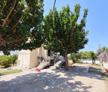 Διαμέρισμα για ενοικίαση Περιγιάλι (Άσσος-Λεχαίο) - Photo 5