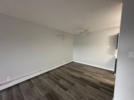 Small Pet Friendly Spacious 3-Bedroom Apartment - Photo 5