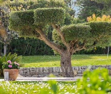 Maison à louer Valbonne, Cote d'Azur, France15 000 EUR / Mois - Photo 1