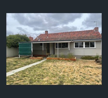 55 Gibbs Street, Carey Park, WA 6230 - Photo 3
