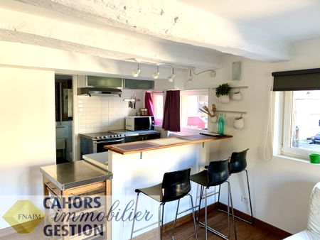 Location Appartement 1 pièce 25m² CAHORS 46000 - Photo 3