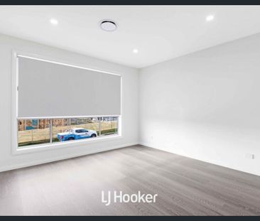 Great 4 Bedroom Home in Riverstone! - Photo 5