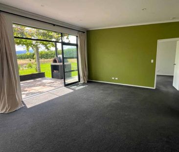 Near New 3 Bedroom Home - Photo 1