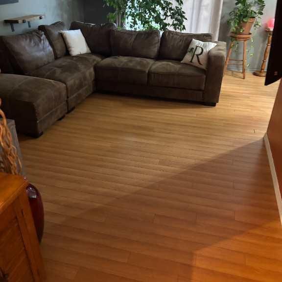 Grand 4 1/2 (RÉNOVÉ) prêt Février - Photo 1