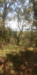 Coochiemudlo Island - Photo 4