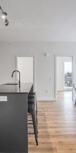 5 1/2 - Montréal (La Petite-Patrie) - 2 695 $/mois - Photo 4
