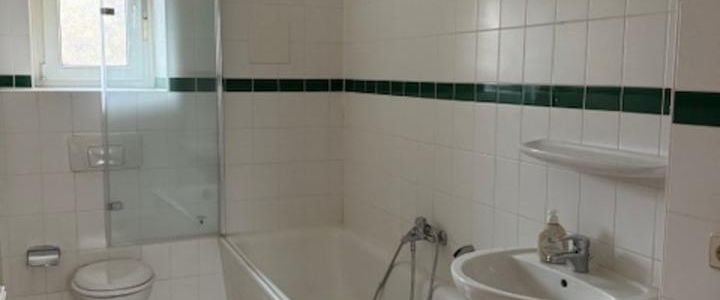 Perfekte Wohnung zum Arbeiten und Studieren. großzügige, helle 1-Raum - Foto 1