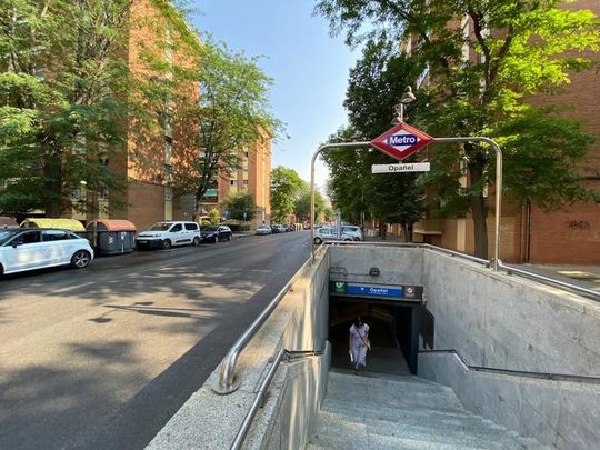 Calle del Hornero, Madrid, Community of Madrid 28019 - Photo 1