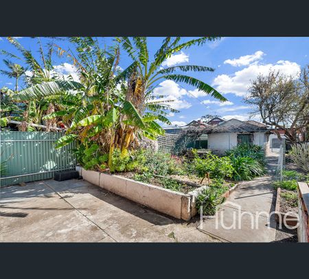 53 McDonnell Avenue, West Hindmarsh, SA 5007 - Photo 5
