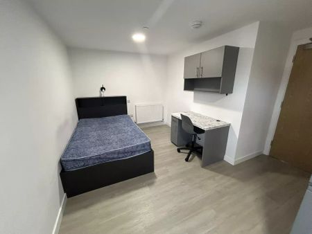 Gold Plus Studio - Photo 3