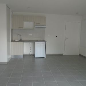 Location Appartement 2 pièces 41m² TOURNEFEUILLE 31170 - Photo 2