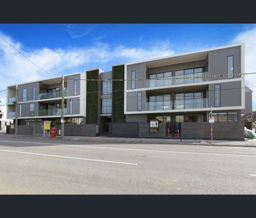13/335 New Street, Brighton, Vic 3186 - Photo 5