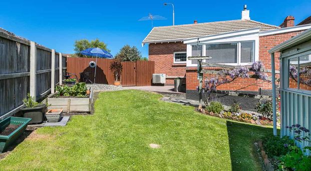 Sunny and stand alone! - Photo 1