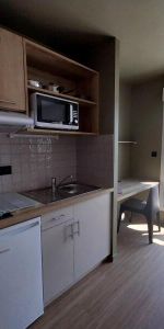 Location Appartement 1 pièce 18m² ORLEANS 45000 - Photo 3
