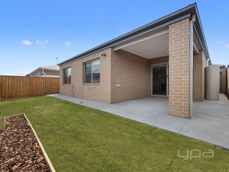 BRAND NEW 4 BEDROOM FAMILY HOME - Photo 5