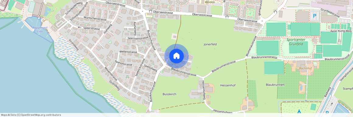 8645, Jona, Wiesenhofweg