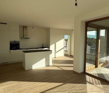 Appartement te huur in Wilrijk voor € 1.400 met 2 slaapkamers - Photo 6