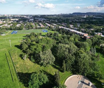 10245 Rue D'Iberville, H2B 2T7, H2B 2T7, Montréal - Photo 4