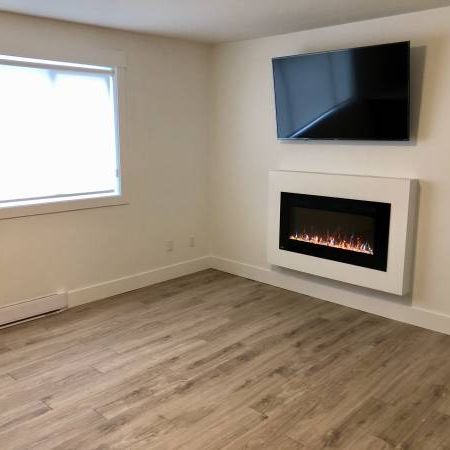 Brand New 2 Bedroom apartment close to Nanaimo Hospital & VIU - Photo 3