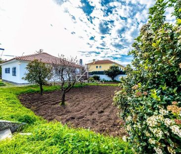 3 bedroom luxury Villa for rent in Cascais e Estoril, Cascais, Lisbon - Photo 3