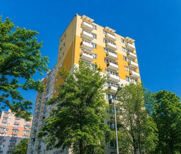 2 pokoje na Łazarzu - Zdjęcie 4