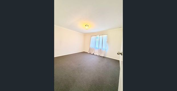 Stunning Fully Renovated 3x1 Home in Prime Armadale Location - 10 Serls Street - Photo 1