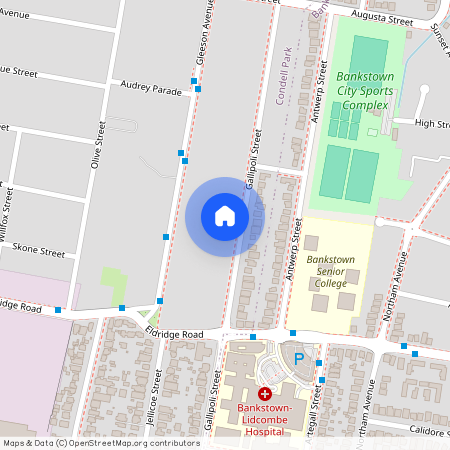 57a Gallipoli Street, NSW 2200, Condell Park