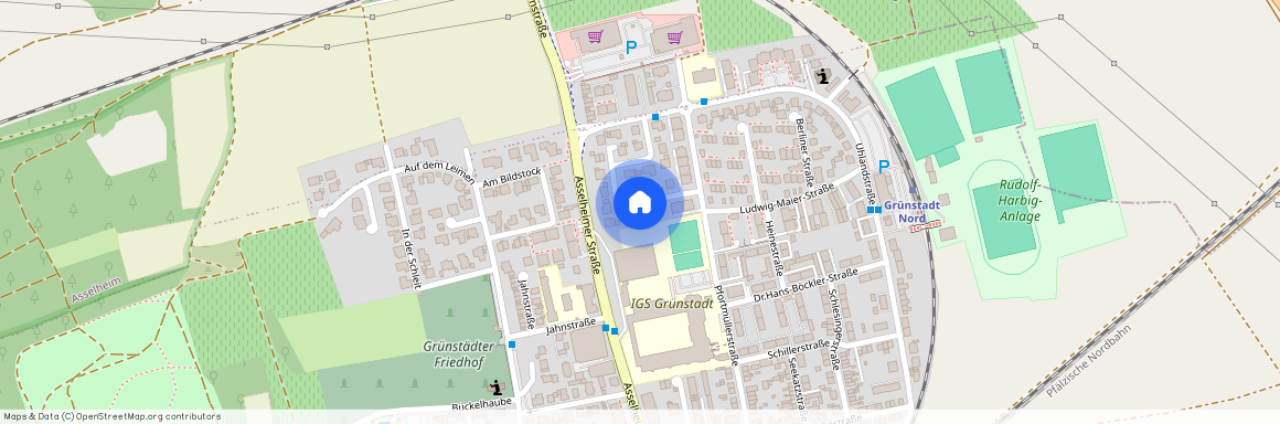 Theodor-Storm-Straße 9, 67269 Grünstadt