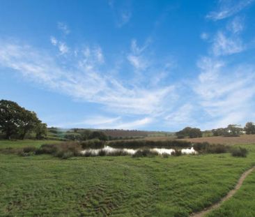 Morchard Bishop, Crediton - Photo 2