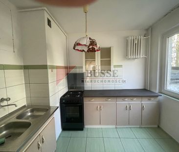 Mieszkanie | Wynajem - Zdjęcie 5