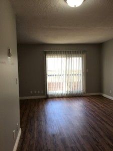 Mono Court – Bachelor - Photo 1