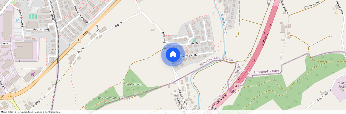 Oberes Neugut 2, 3280 Murten